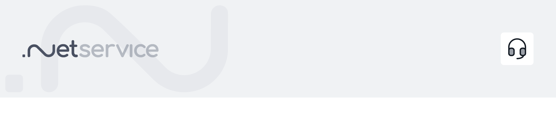 NetService Assistenza